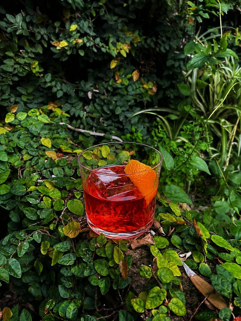 George's Negroni